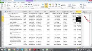 Microsoft Project Training - Earned Value
