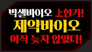 [주식] 박셀바이오 상한가! 제약바이오 아직 늦지 않았습니다. 후속 대장주 공개! [주미남]