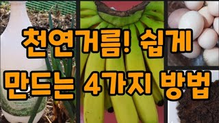 막걸리 천연비료 효과?? 초! 대박! #바나나껍질거름 #계란껍질거름 #막걸리비료 #커피찌꺼기거름 #퇴비만들기 #대파거름주기 #대파기르기 #천연거름만들기 #천연거름만드는방법