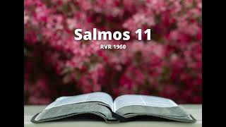 Salmos 11 - Reina Valera 1960 (Biblia en audio)