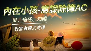 內在小孩~自我價值 | Love | 接收｜意識除障清理AC💕#accessconsciousness