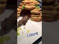 ▶️ his name is grill cheese 😂🦎 lizard lagarto animals shorts grillcheese lettuce wildlife