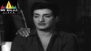 Jeevitha Chakram Movie NTR and His Father Scene | NTR, Vanisri, Sharada | Sri Balaji Video
