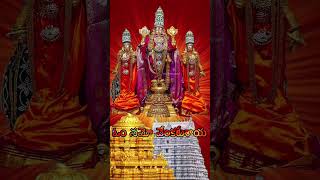 OM Namo Venkatesaya chanting|Venkateswara stotram| #god #govinda #balaji #devotional #ttd #ytshorts