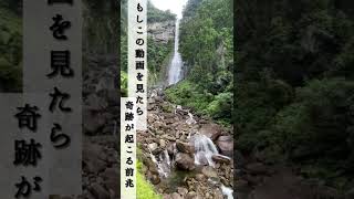 【那智の滝へ早朝参拝】この動画を見たら奇跡が起こり始める#shorts 【Nachi Waterfalls, Wakayama Japan】