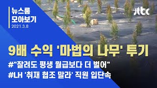 [뉴스룸 모아보기] LH 직원 '수익률 900%' 마법의 나무 심었다 / JTBC News