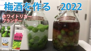 梅酒の作り方。2022年はブランデーも使用。