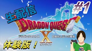 [無料体験版]　ドラゴンクエストⅩオンライン#1　テンの日！