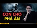 CON CHÓ PHÁ ÁN  - Chuyện tâm linh Nguyễn Huy kể