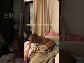 お散歩終わって落ち着いてる大型犬 キャバリア goldenretriever ゴールデンレトリバー 大型犬 大型犬と暮らす ミックス犬 犬がいる暮らし 犬との暮らし 12歳