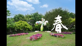 龍潭科學園區四季之美/The beauty of the four seasons in Longtan Science Park