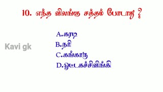 எந்த விலங்கு சத்தம் போடாது ? | GK Questions And Answers  | GK in Tamil | Kavi GK