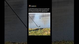 Why a Golf Ball on Frozen Ice Makes That Eerie Sound ⛳️❄️ #shorts