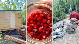 Day in the Life on the Offgrid Homestead