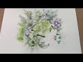 painting succulents watercolor painting tutorial