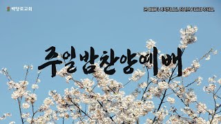 22.04.24(주일) 새가족 환영 감사 예배 백양로교회 (김태영 목사)