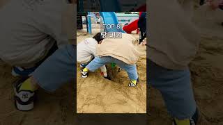 놀이터 가면 한번쯤은 해본 행동 TOP 10