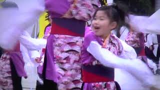 MY matsuri　ひたち舞祭10SPRING　Hi-tachiGP2010 / 華風舞伎