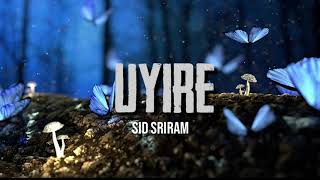 Uyire song lyrics|sid sriram|gauthamante radham malayalam |english lyrics