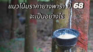 แนวโน้ม ราคายางพาราปี 68 จะเป็นอย่างไร