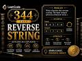 LeetCode 344 - Reverse String Explained in C++ | Two Pointer Easy Problem