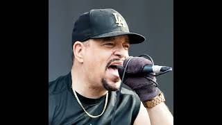 Ice T Never Heard 1991 Interview
