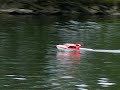 club 500 model slipway speed boat