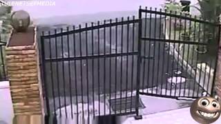 BEST ROBBERY FAILS AND GREATEST THEFT FAILS CAUGHT ON VIDEO COMPILATION AUGUST 2014