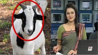 সাবধান!!!  কোরবানির যে শর্তাবলি না মানলে সর্বনাশ, জানলে চমকে যাবেন