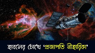 সেরা মহাজাগতিক সুন্দরীর খেতাব দিল নেটদুনিয়া, হাবলের চোখে ‘Butterfly nebula’.mif news