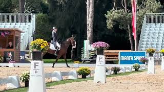 Bruno - Dressage - Pau ‘24