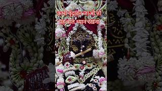 Radha Vallabh ji | Banke Bihari ji #vrindavan #krishna #radha #motivation #shorts