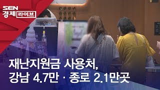 재난지원금 사용처, 강남 4.7만·종로 2.1만곳