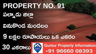 #91#palnadudistrict#vinukondamandal#lowcost#redsoil#agriculturalland#redsandal#mangogarden#fishponds