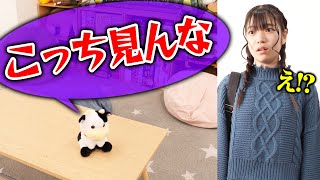 ぬいぐるみが急に喋り出したらどんな反応をするのか？【 ドッキリ モニタリング 真似 】