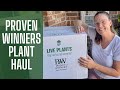 Proven Winners Plant Haul 2022 🌿🍃🍂 || Proven Winners 2022 || Plant Haul Unboxing || Zone 8