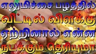 எலுமிச்சை பழத்தில் வீட்டில் விளக்கு ஏற்றினால் என்ன நடக்கும் தெரியுமா | Sattaimuni Nathar