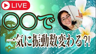 〇〇で一気に振動数変わる！？引き寄せ止まらない⁉️⏫龍神起業サポートたまちゃん がライブ配信中！