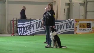 Tending Tough - Obedience Competition,  Lublin 12.03.2016