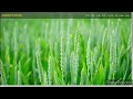 zoom  parallax || page  ||# jQuery || Part-3#2020