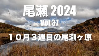 尾瀬2024 Vol,37　１０月３週目の尾瀬ヶ原