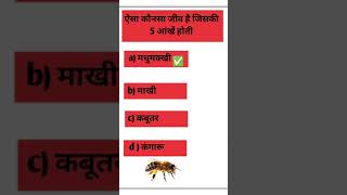 GK Question || GK in Hindi || GK Question and Answer || GK Quiz #sarkarinaukrikesawal #gkd #gkstudy