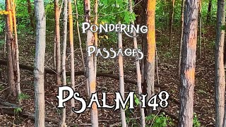 Pondering Psalm 148