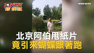 CTWANT 生活新聞 / 北京阿伯甩紙片　竟引來蝴蝶跟著跑