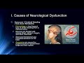 cog neuro lecture 12 methods brain disorders