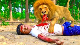 Lion Attack On School Boy In Forest Road