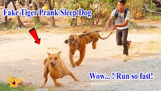 Wow...! Fake Tiger vs Prank Sleep Dogs - Run So Fast! Try to stop Laugh in 2021