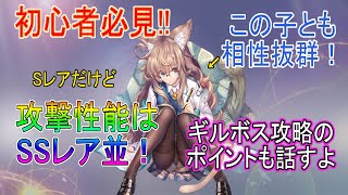 【ドラガルズ】初心者必見！Sレアだけど攻撃性能はSSレア並！意外なコンボをご紹介【ギルドボス攻略】