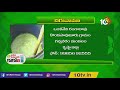 ప్రకృతి వ్యవసాయంలో పామాయిల్ సాగు palm oil cultivation in natural farming 10tv news