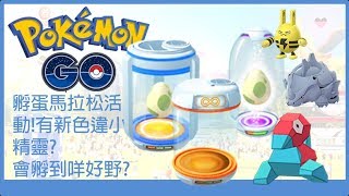 Pokemon go 孵蛋馬拉松活動！有新色違小精靈?會孵到咩好野?